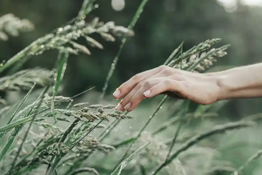 A hand reaching toward a warm beam of light in a dim room